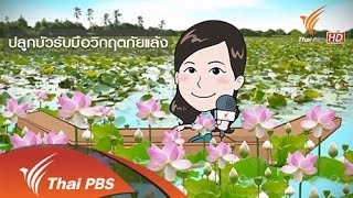 มาตรการแก้วิกฤตภัยแล้ง