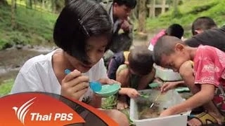 สายลับเชียงดาว