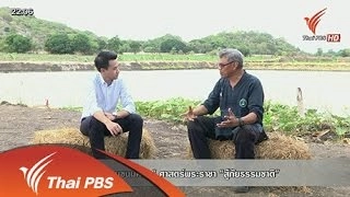 "หลุมขนมครก" ศาสตร์พระราชา "สู้ภัยธรรมชาติ"