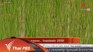 ทางออก...วิกฤตภัยแล้ง 2558