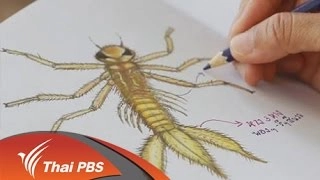 สายลับรวมมิตร