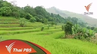 ป่าครอบครัวจัดการน้ำชุมชน