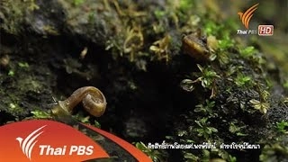 โลกหลงสำรวจ