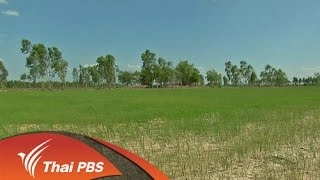 ผลกระทบเศรษฐกิจจากภัยแล้ง