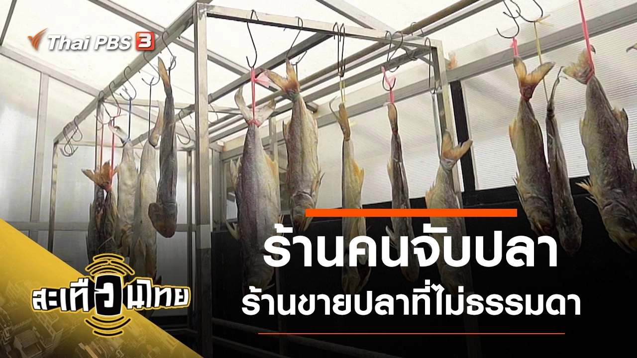 ร้านคนจับปลา