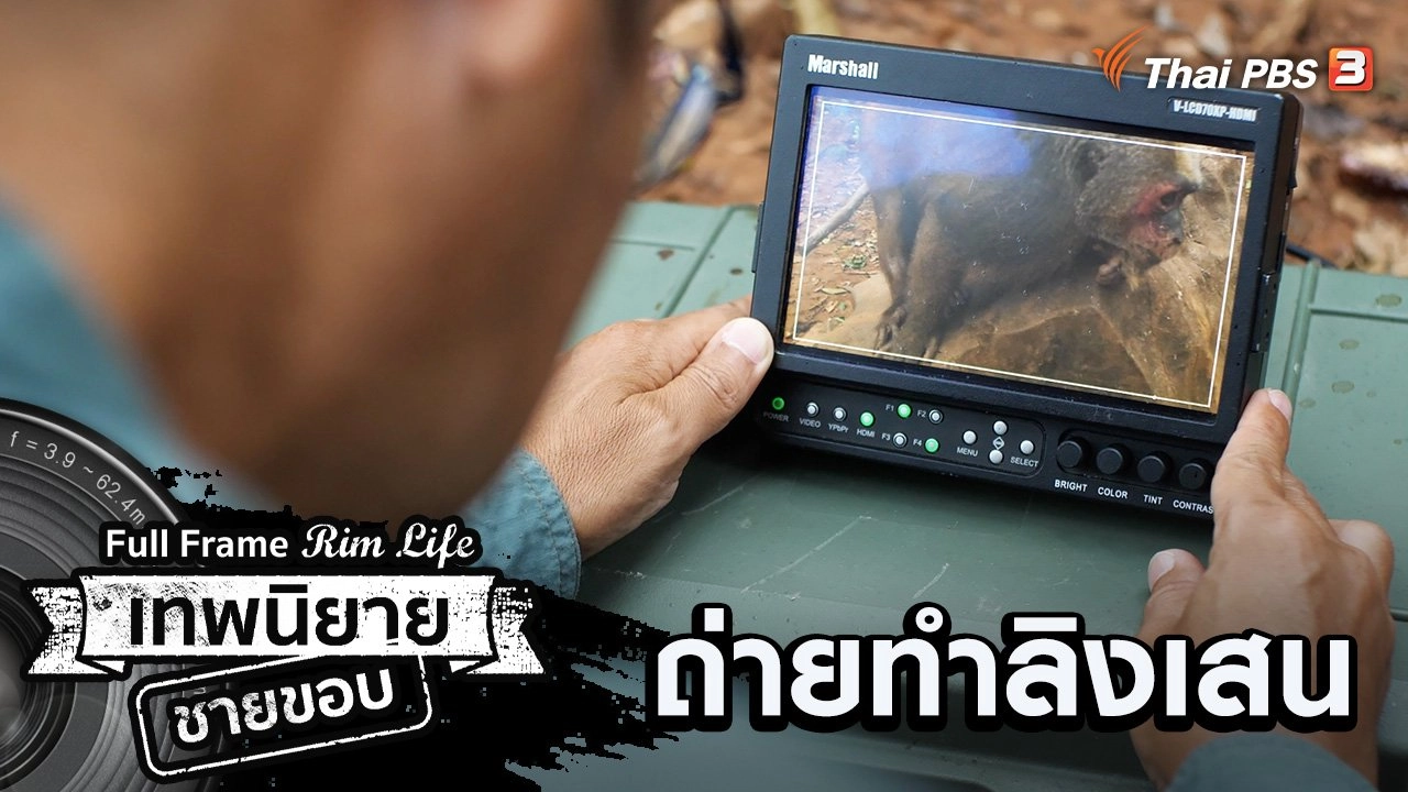 ถ่ายทำลิงเสน