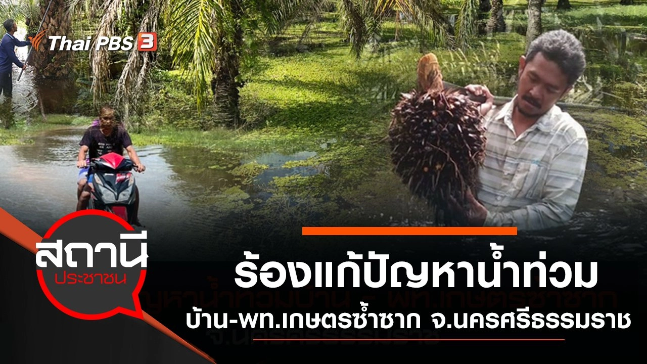 ร้องแก้ปัญหาน้ำท่วมบ้าน - พื้นที่เกษตรซ้ำซาก จ.นครศรีธรรมราช