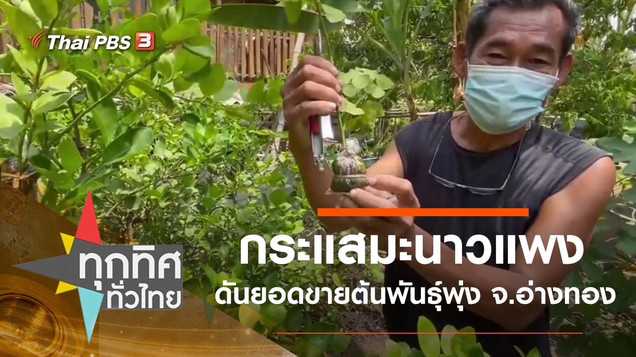 ทุกทิศทั่วไทย