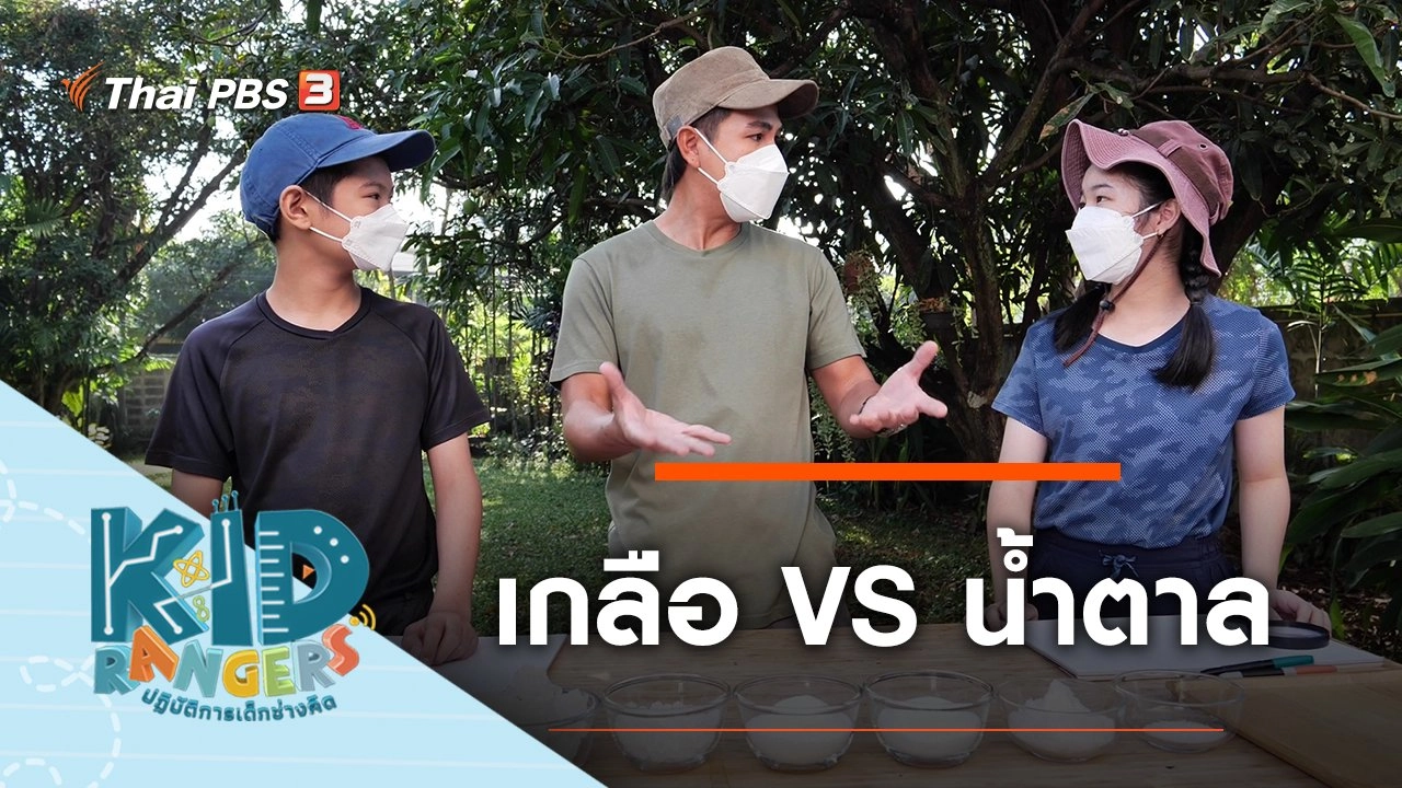 เกลือ VS น้ำตาล