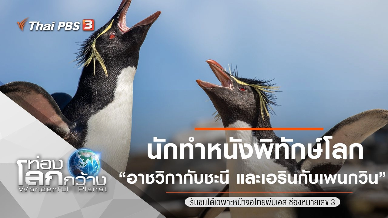 นักทำหนังพิทักษ์โลก ตอน อาชวิกากับชะนี และ เอรินกับเพนกวิน