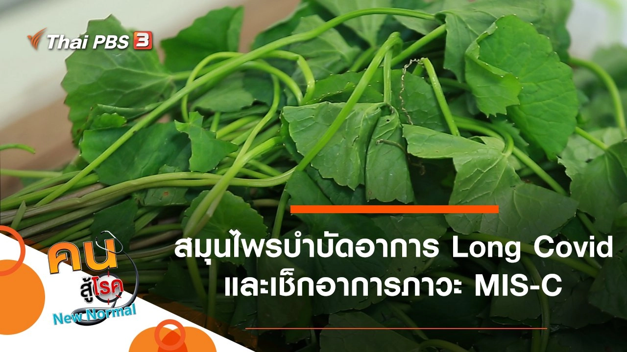 สมุนไพรบำบัดอาการ Long Covid, เช็กอาการภาวะ MIS-C