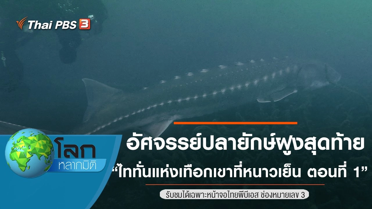 อัศจรรย์ปลายักษ์ฝูงสุดท้าย ตอน ไททั่นแห่งเทือกเขาที่หนาวเย็น ตอนที่ 1