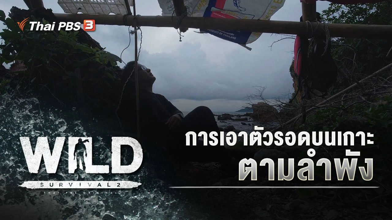 การเอาตัวรอดบนเกาะตามลำพัง