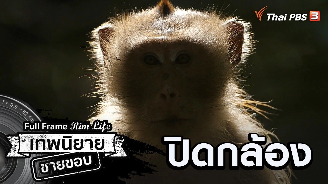 ปิดกล้อง