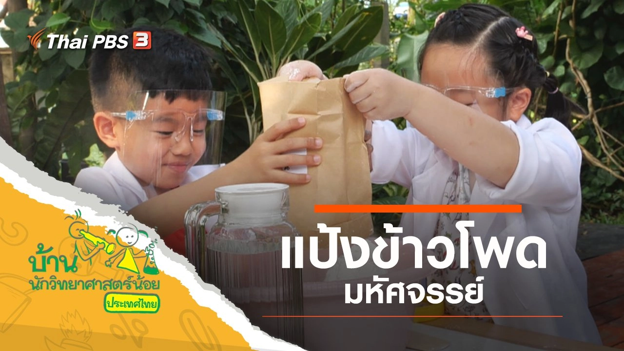 แป้งข้าวโพดมหัศจรรย์
