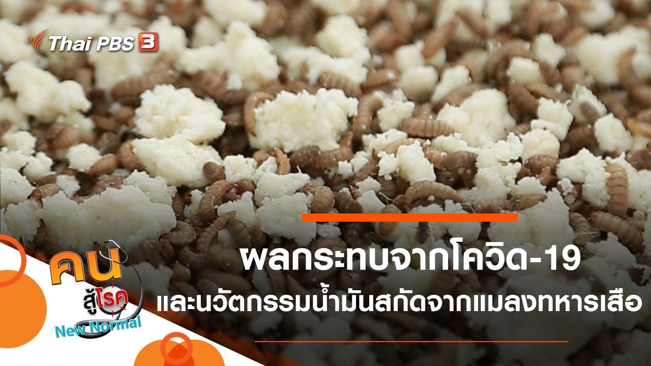 ผลกระทบจากโควิด-19 กับดวงตา, นวัตกรรมน้ำมันสกัดจากแมลงทหารเสือ