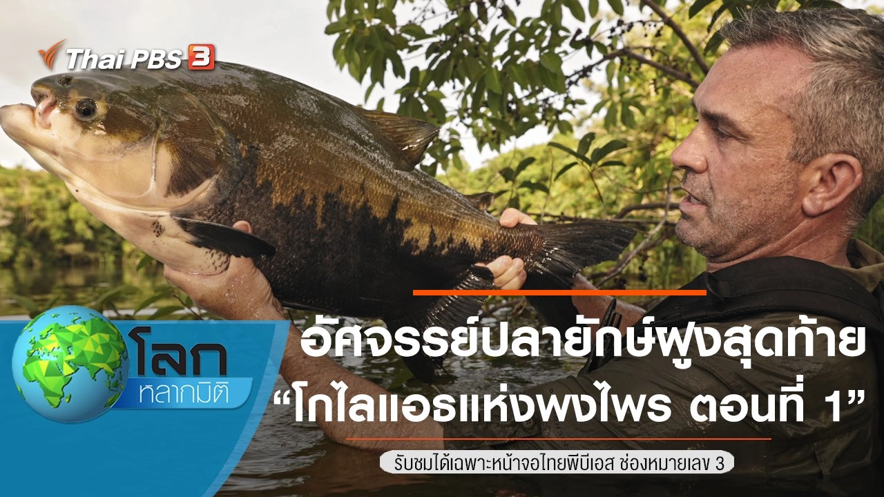 อัศจรรย์ปลายักษ์ฝูงสุดท้าย ตอน โกไลแอธแห่งพงไพร ตอนที่ 1