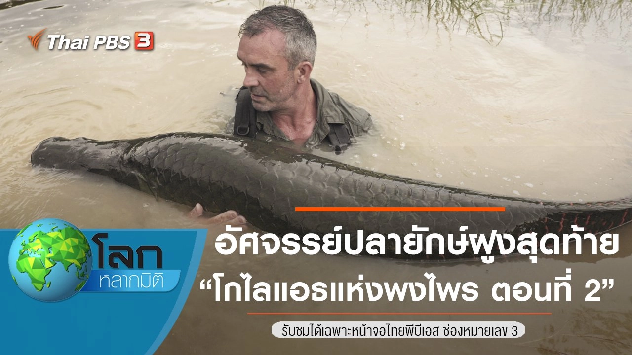 อัศจรรย์ปลายักษ์ฝูงสุดท้าย ตอน โกไลแอธแห่งพงไพร ตอนที่ 2