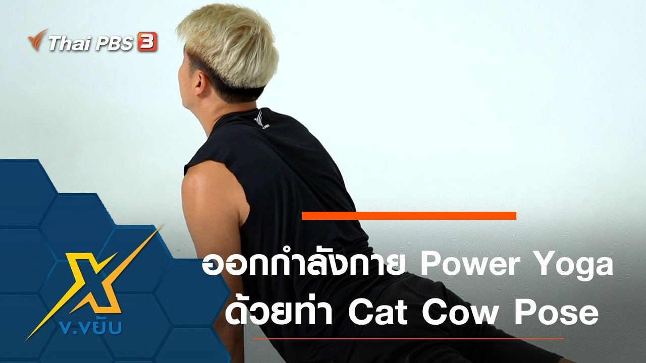 ออกกำลังกาย Power Yoga ด้วยท่า Cat Cow Pose