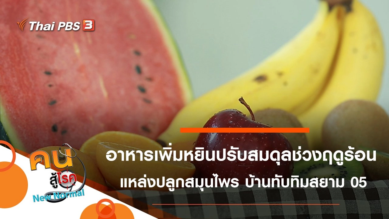 อาหารเพิ่มหยินปรับสมดุลช่วงฤดูร้อน, แหล่งปลูกสมุนไพร บ้านทับทิมสยาม 05