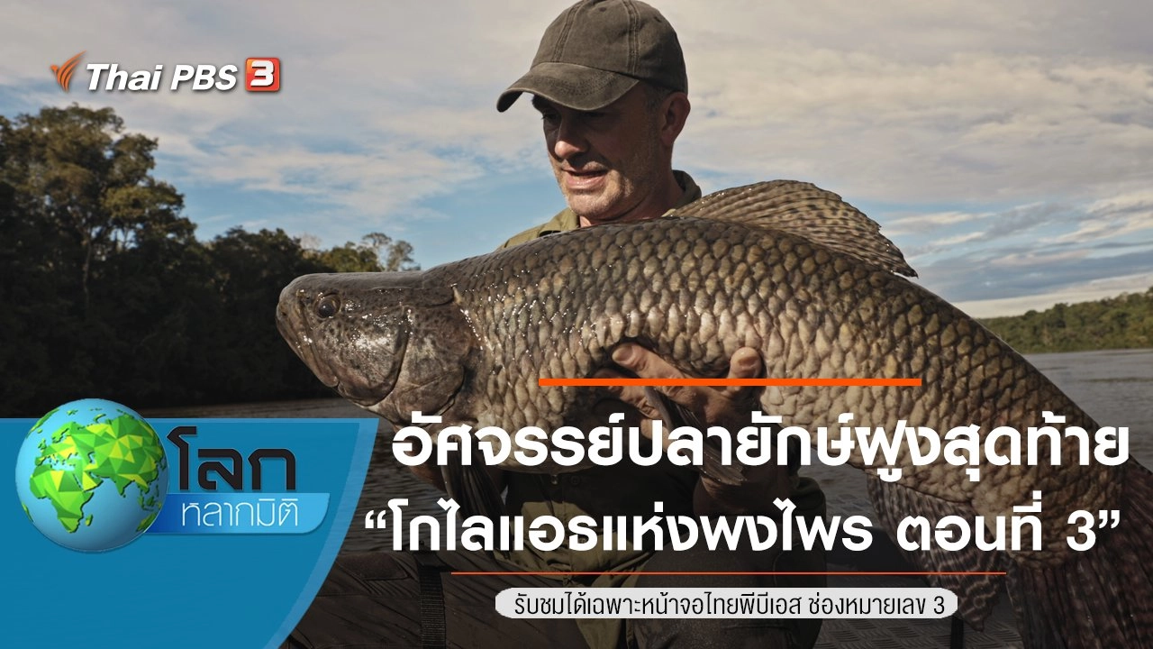 อัศจรรย์ปลายักษ์ฝูงสุดท้าย ตอน โกไลแอธแห่งพงไพร ตอนที่ 3