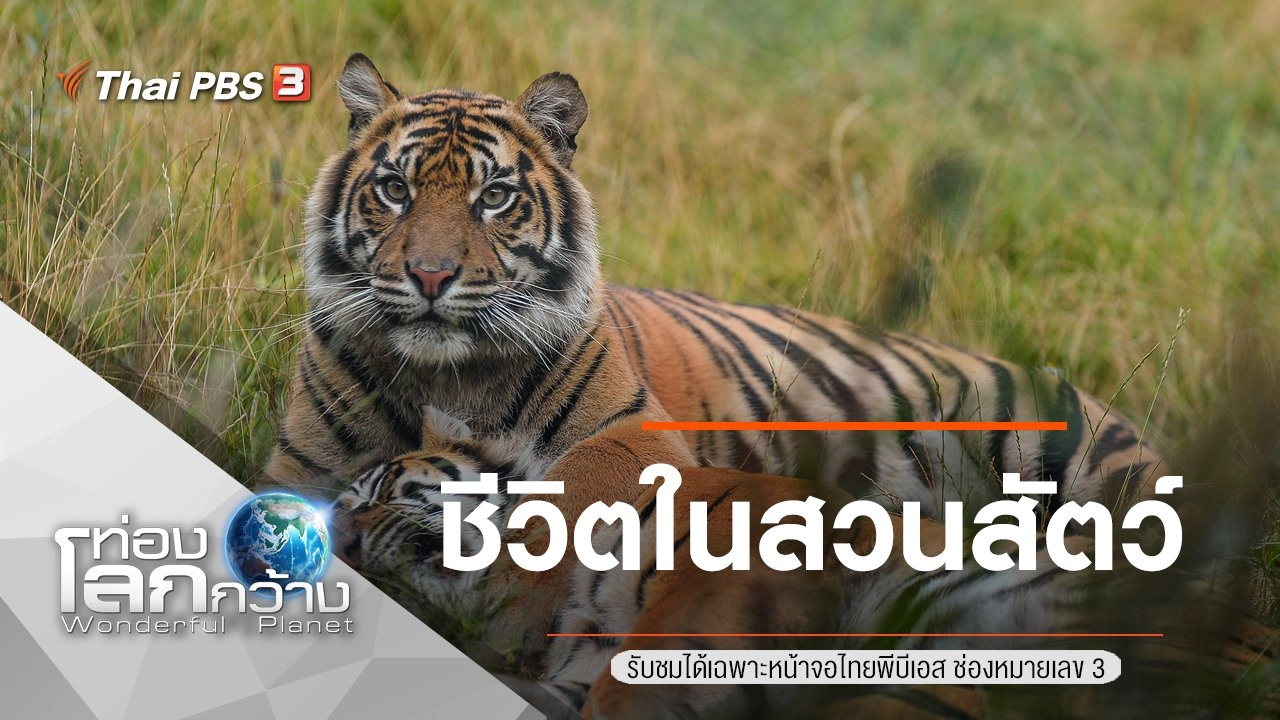 ชีวิตในสวนสัตว์ ตอนที่ 4