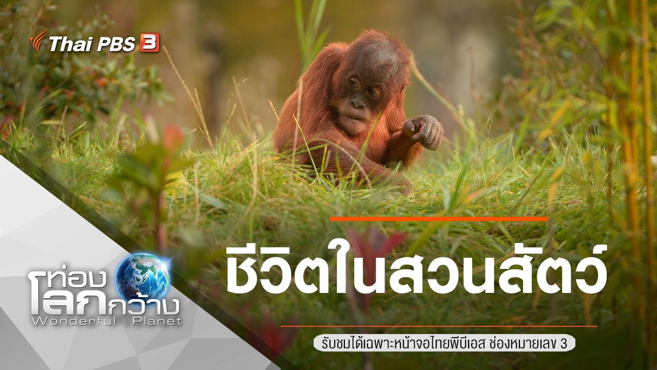 ชีวิตในสวนสัตว์ ตอนที่ 5