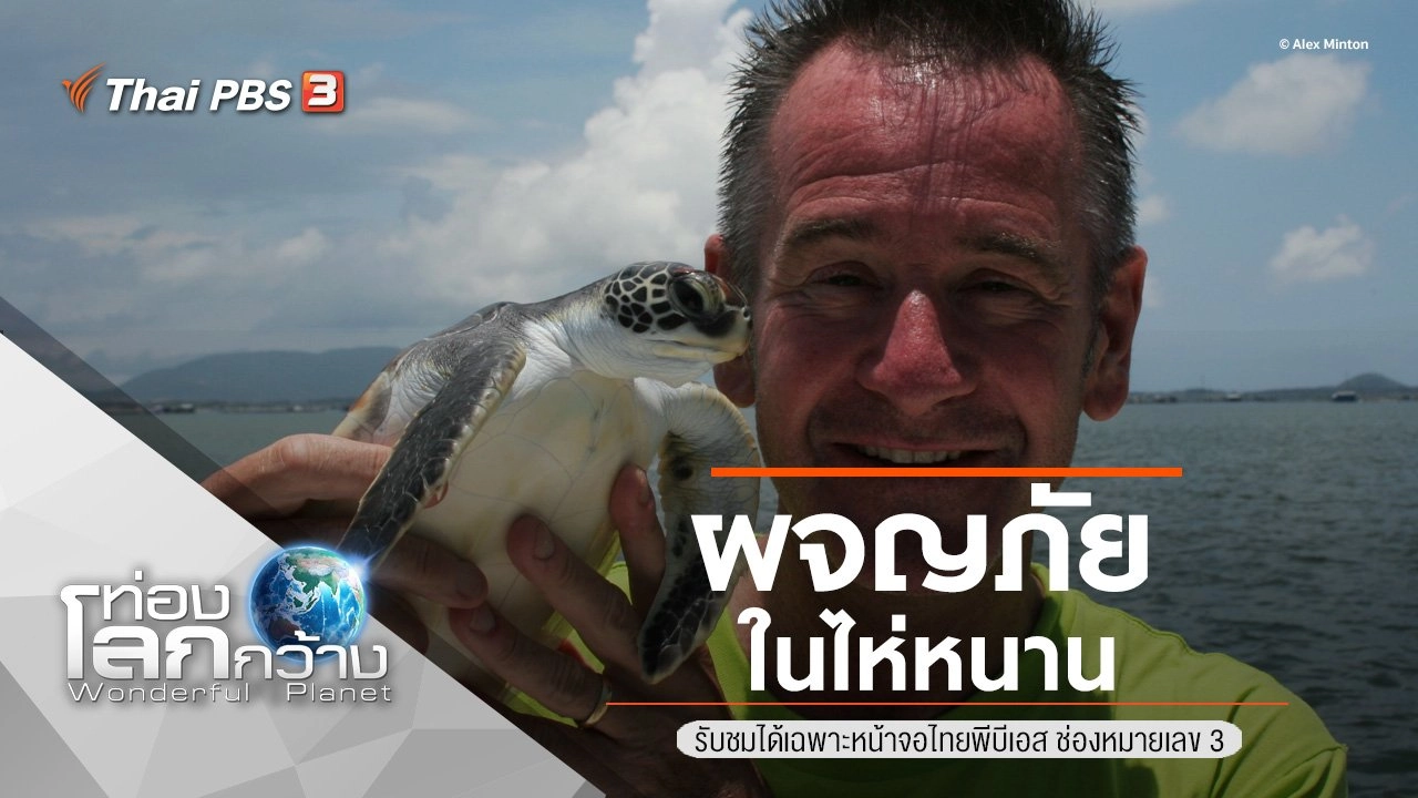 ผจญภัยในไห่หนาน