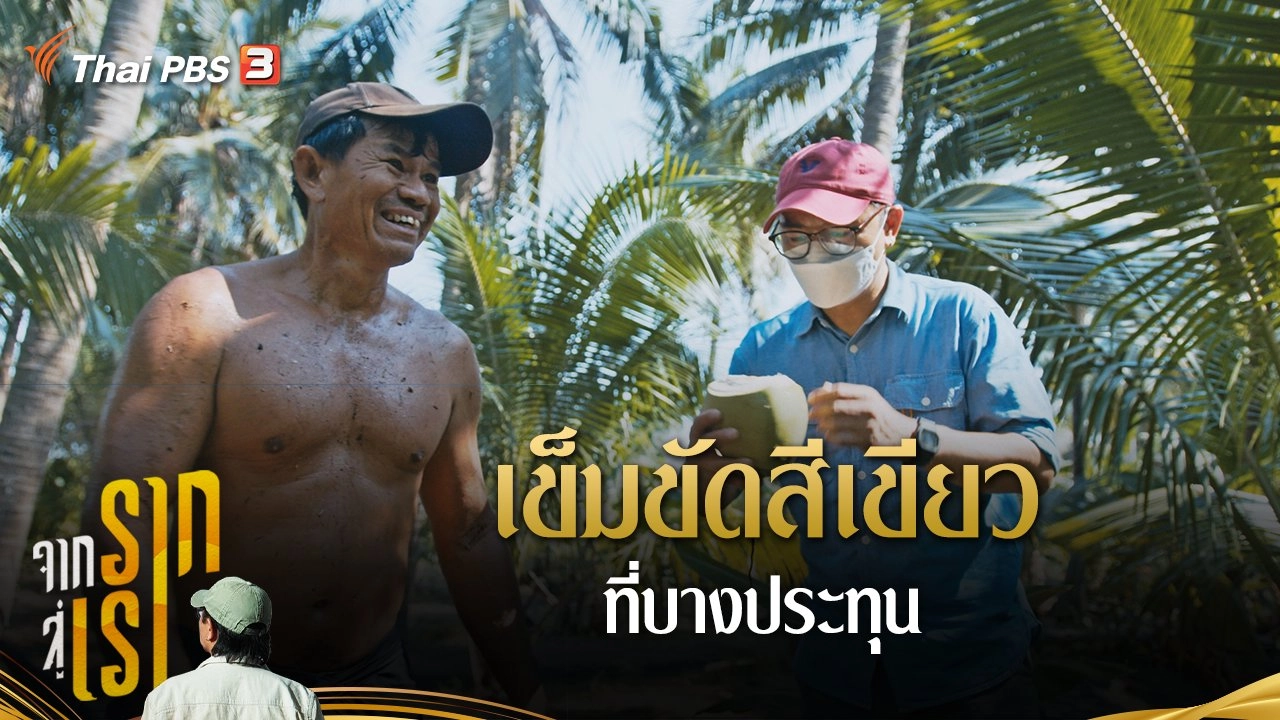 เข็มขัดสีเขียวที่บางประทุน