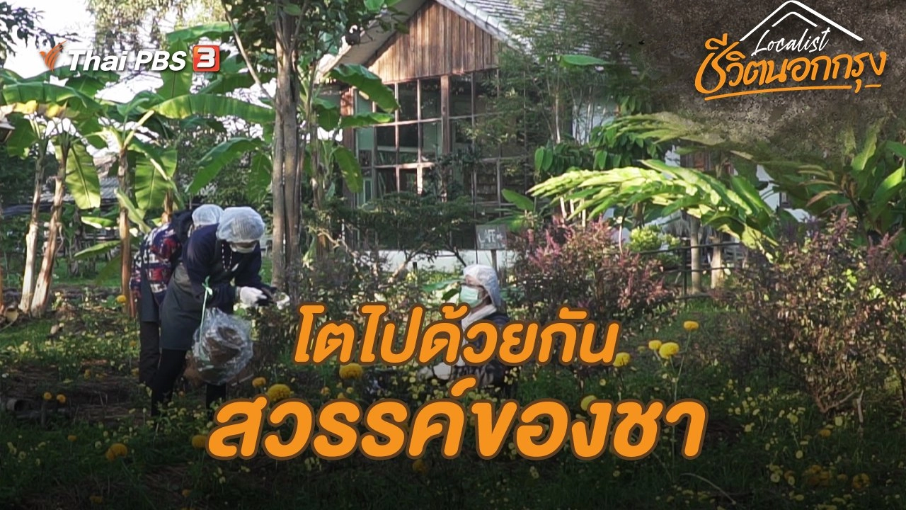 โตไปด้วยกันสวรรค์ของชา