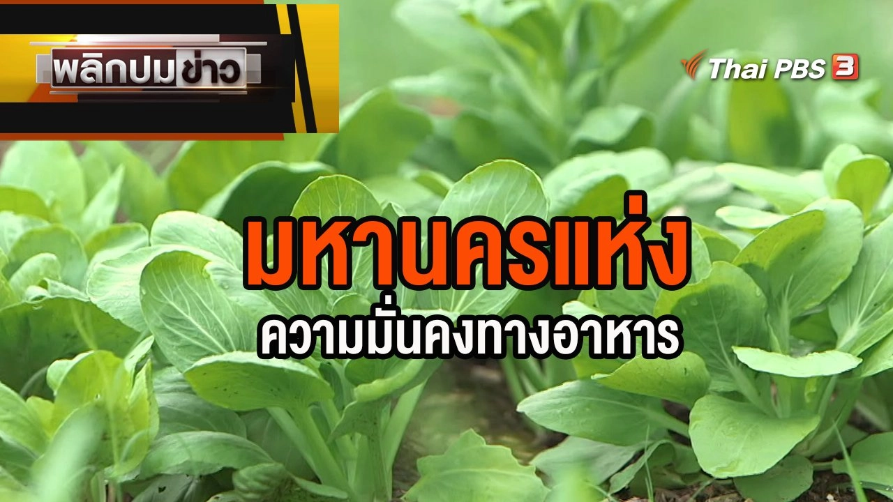 มหานครแห่งความมั่นคงทางอาหาร