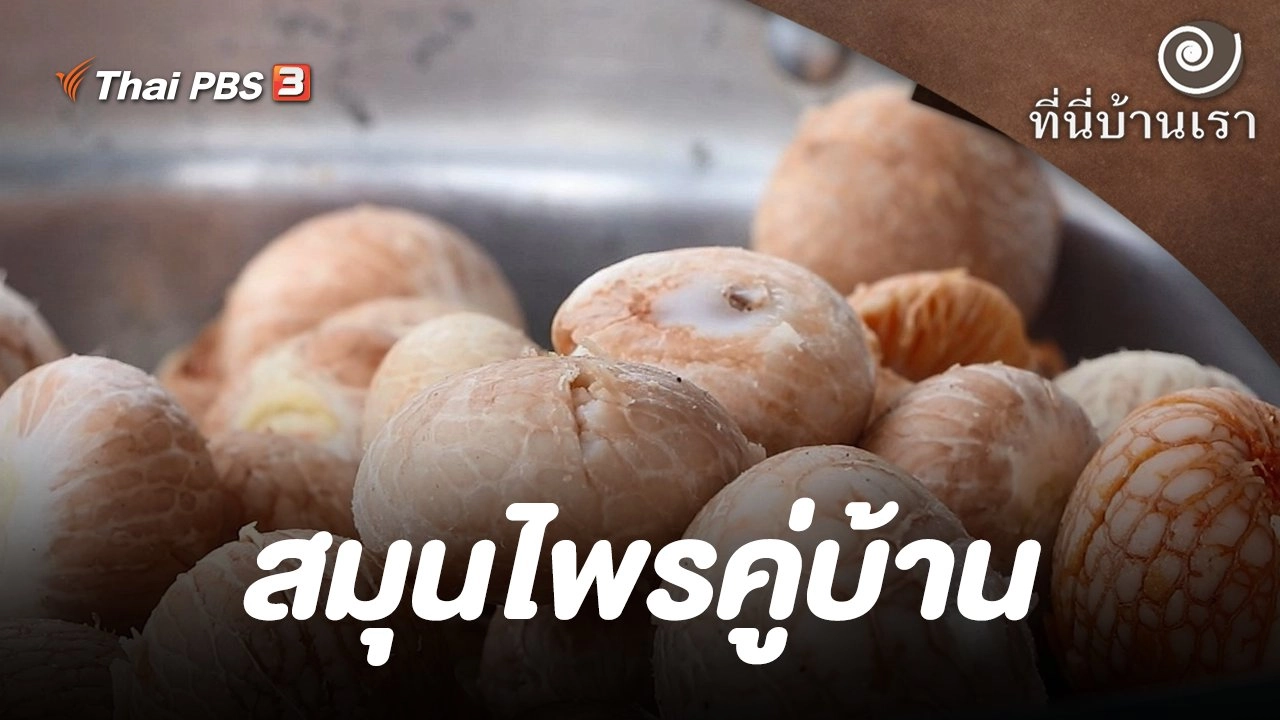 สมุนไพรคู่บ้าน