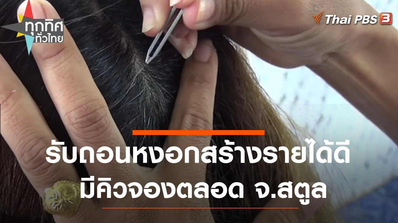 รับถอนหงอกสร้างรายได้ดีมีคิวจองตลอด จ.สตูล