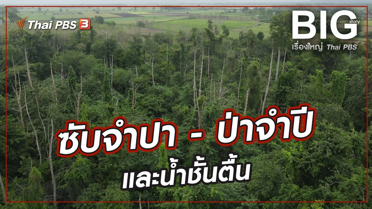 ซับจำปา - ป่าจำปี และน้ำชั้นตื้น