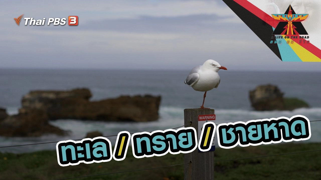 ทะเล / ทราย / ชายหาด