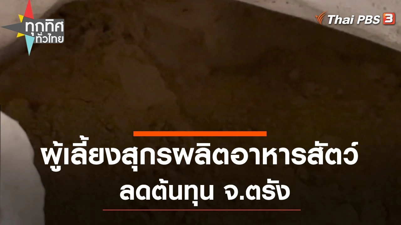 ผู้เลี้ยงสุกรผลิตอาหารสัตว์ลดต้นทุน จ.ตรัง