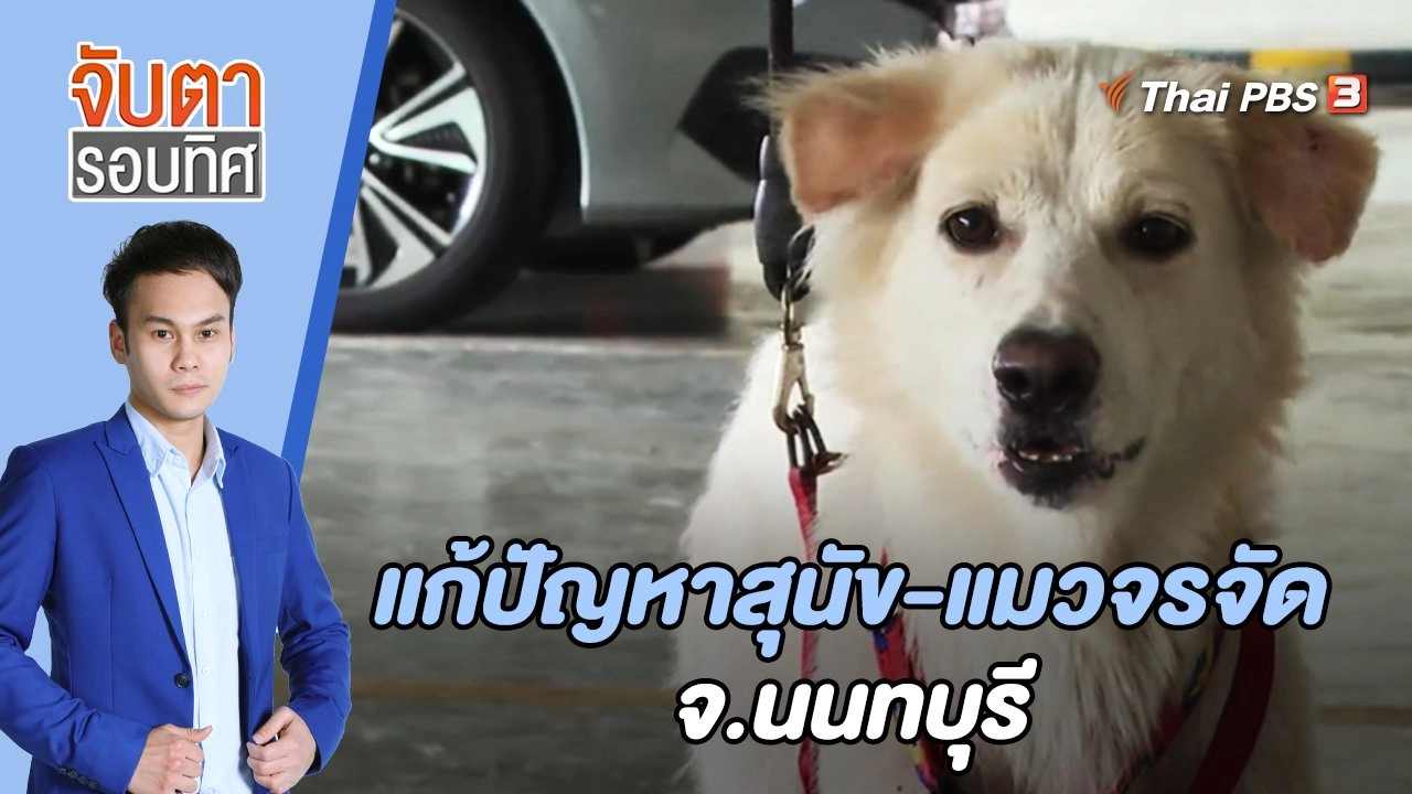 แก้ปัญหาสุนัข-แมวจรจัด จ.นนทบุรี | จับตารอบทิศ | 20 เม.ย. 65