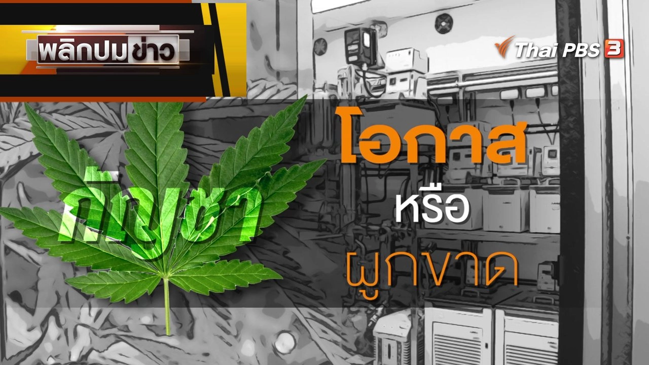 กัญชา โอกาสหรือผูกขาด