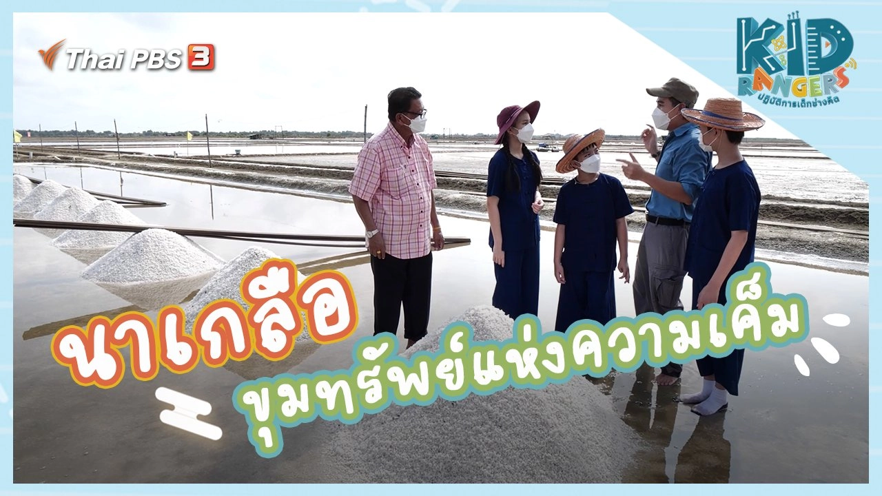 นาเกลือ ขุมทรัพย์แห่งความเค็ม