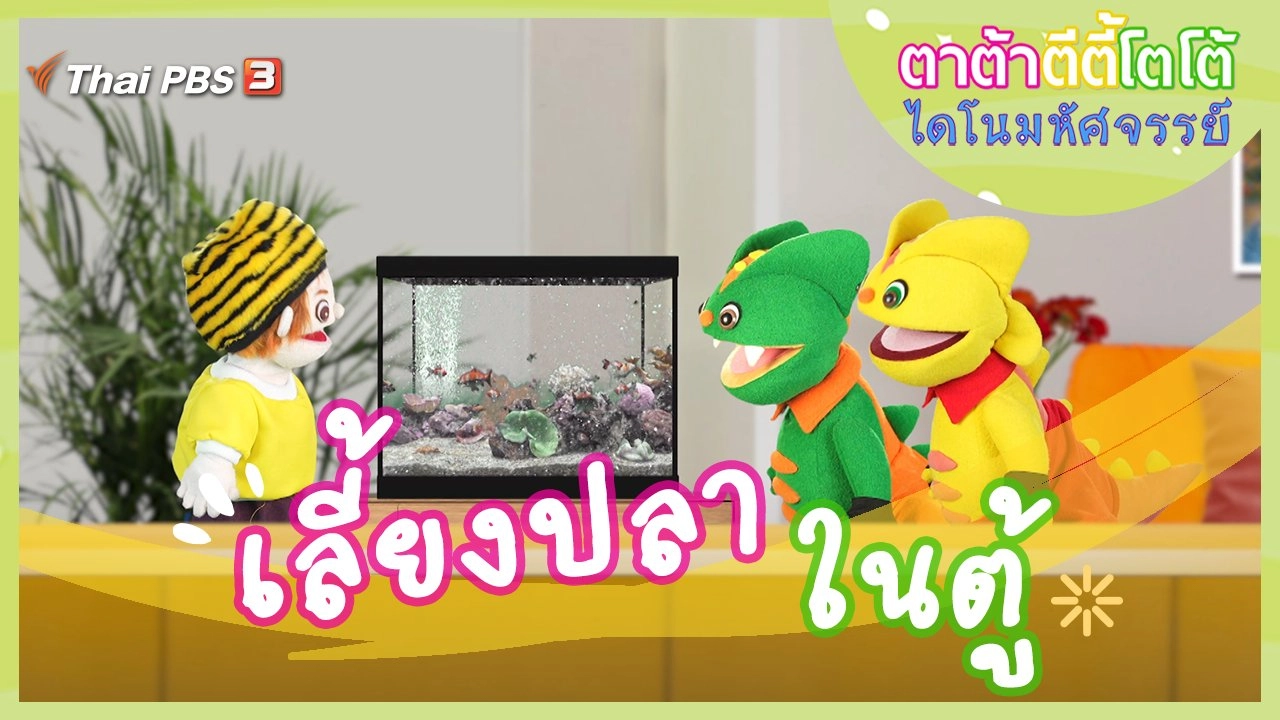 เลี้ยงปลาในตู้