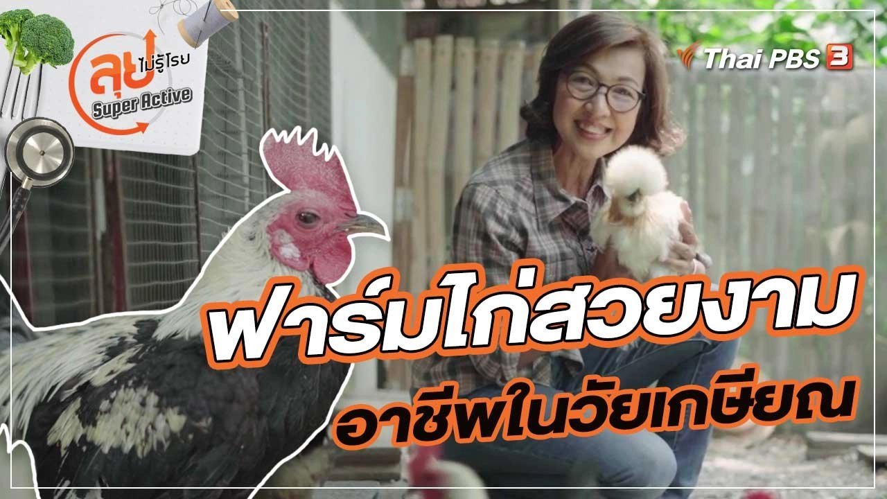 ฟาร์มไก่สวยงามอาชีพในวัยเกษียณ