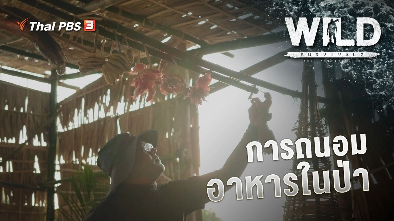 การถนอมอาหารในป่า