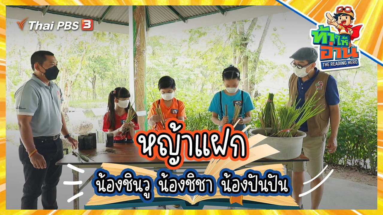 หญ้าแฝก : น้องชินวู น้องชิชา น้องปันปัน