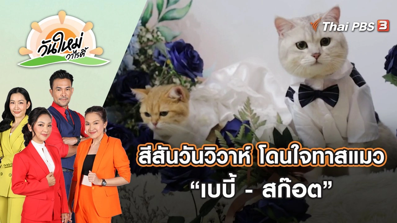 สีสันวันวิวาห์ โดนใจทาสแมว “เบบี้ - สก๊อต” | วันใหม่วาไรตี้ | 2 พ.ค. 65