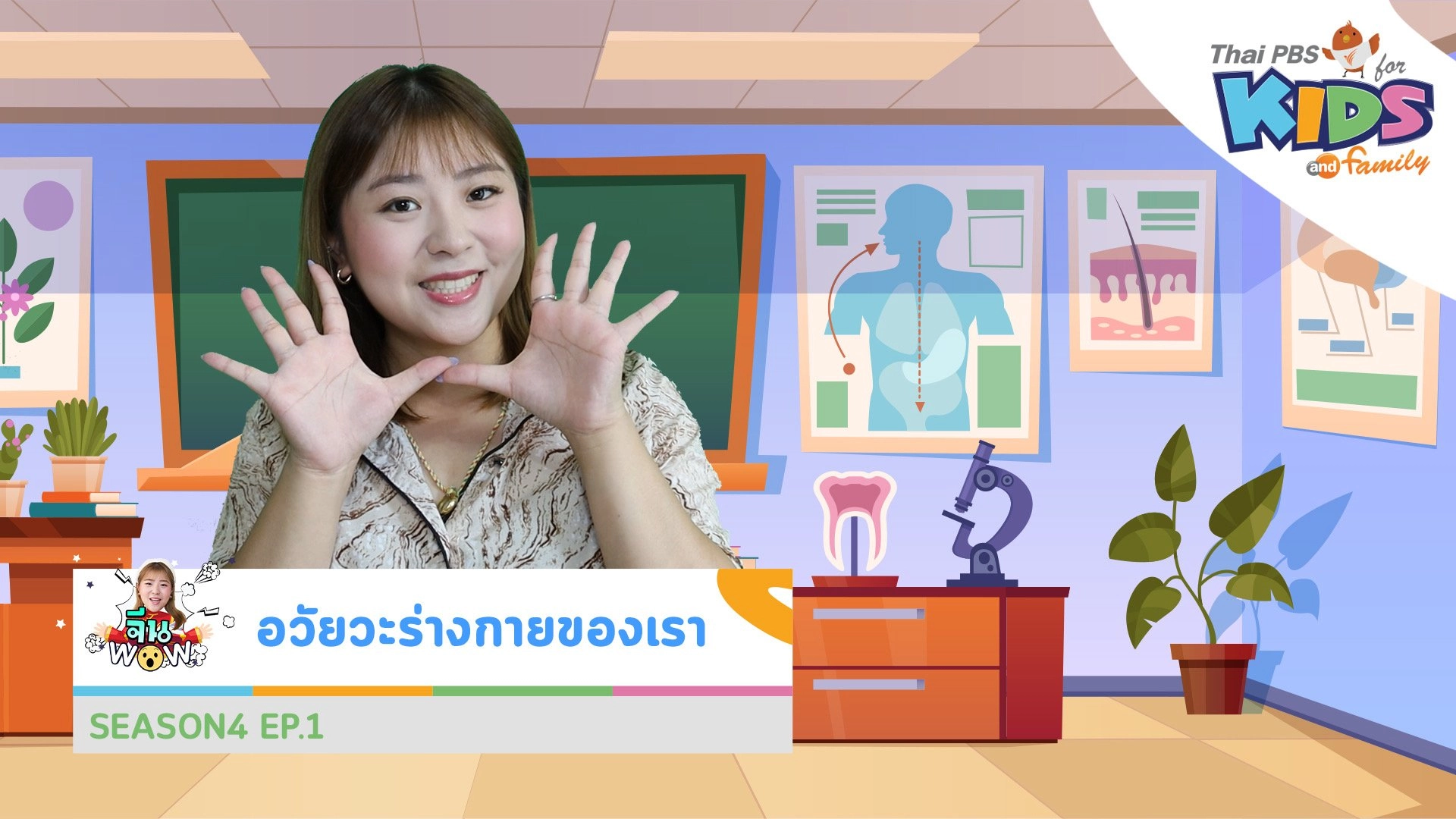 คำศัพท์เกี่ยวกับ "อวัยวะร่างกายของเรา"