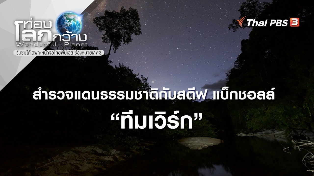 สำรวจแดนธรรมชาติกับสตีฟ แบ็กชอลล์ ตอน ทีมเวิร์ก