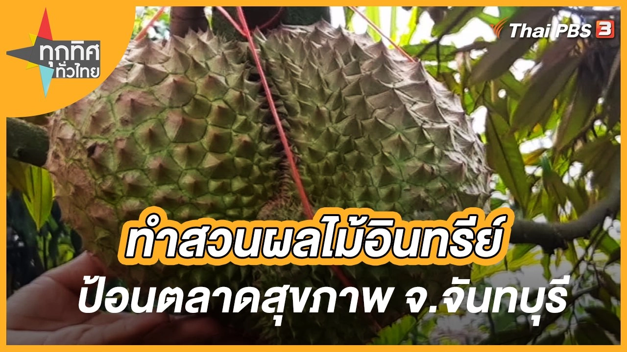 ทำสวนผลไม้อินทรีย์ป้อนตลาดสุขภาพ จ.จันทบุรี