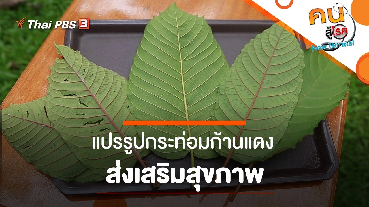 แปรรูปกระท่อมก้านแดง ส่งเสริมสุขภาพ