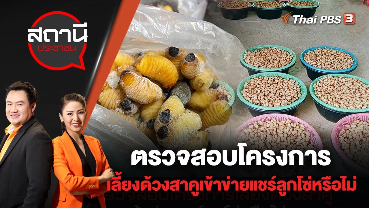 ตรวจสอบโครงการเลี้ยงด้วงสาคูเข้าข่ายแชร์ลูกโซ่หรือไม่ ? | สถานีประชาชน | 17 พ.ค. 65