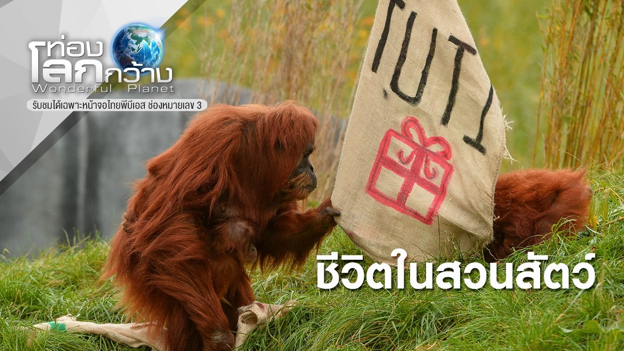 ชีวิตในสวนสัตว์ ตอนที่ 6